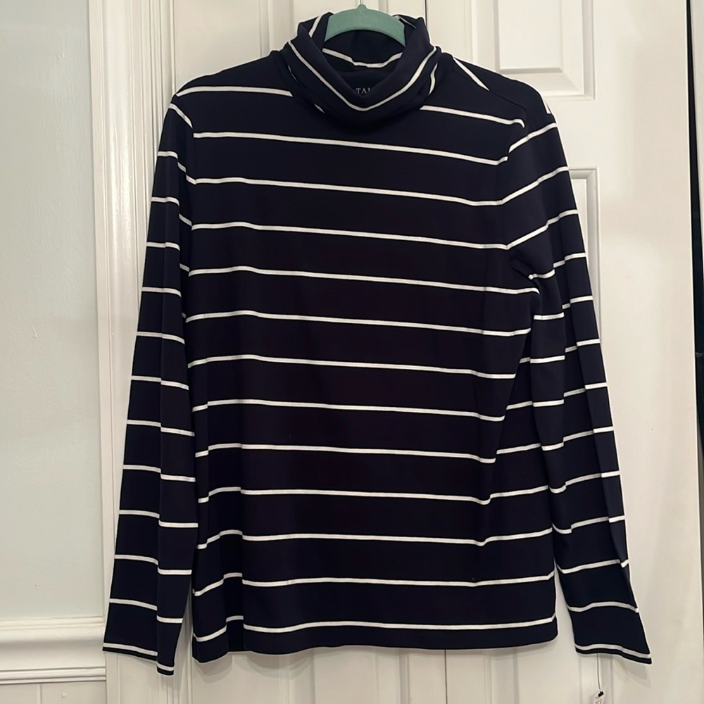 Talbots Striped Turtleneck